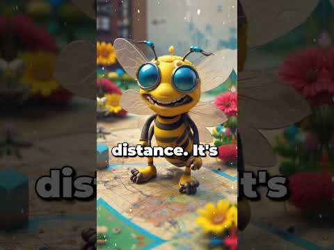 Unlocking the Secret of the Honey Bee Dance | The Waggle Dance Explained